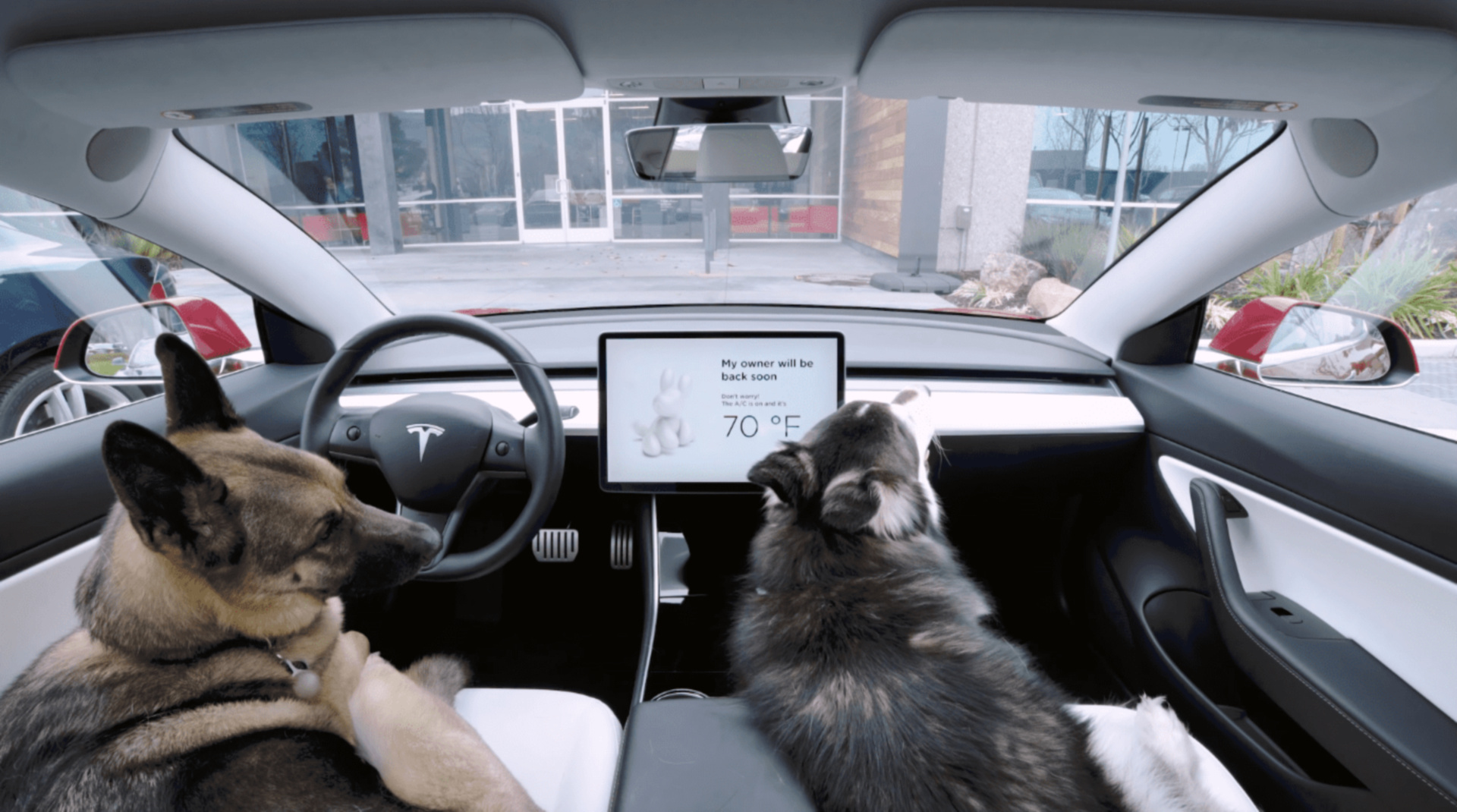 SMALL_Tesla 獨特的寵物模式不僅讓車主帶寵物出門更加方便，也提供寵物最舒適自在的車室空間。